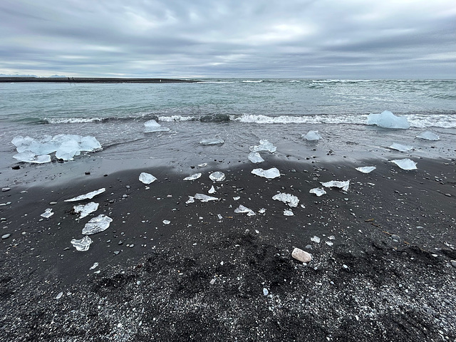 Washed ashore.