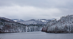 Granestausee