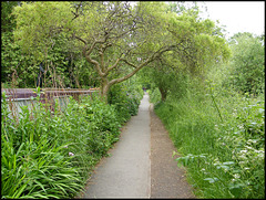 Hythe Bridge green