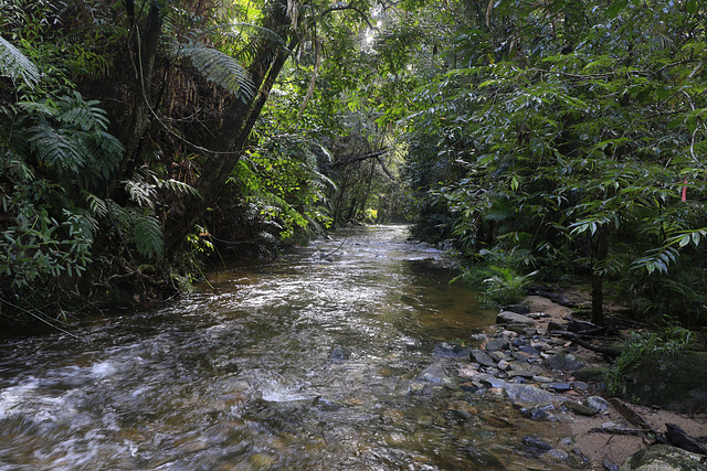 Little Falls Creek