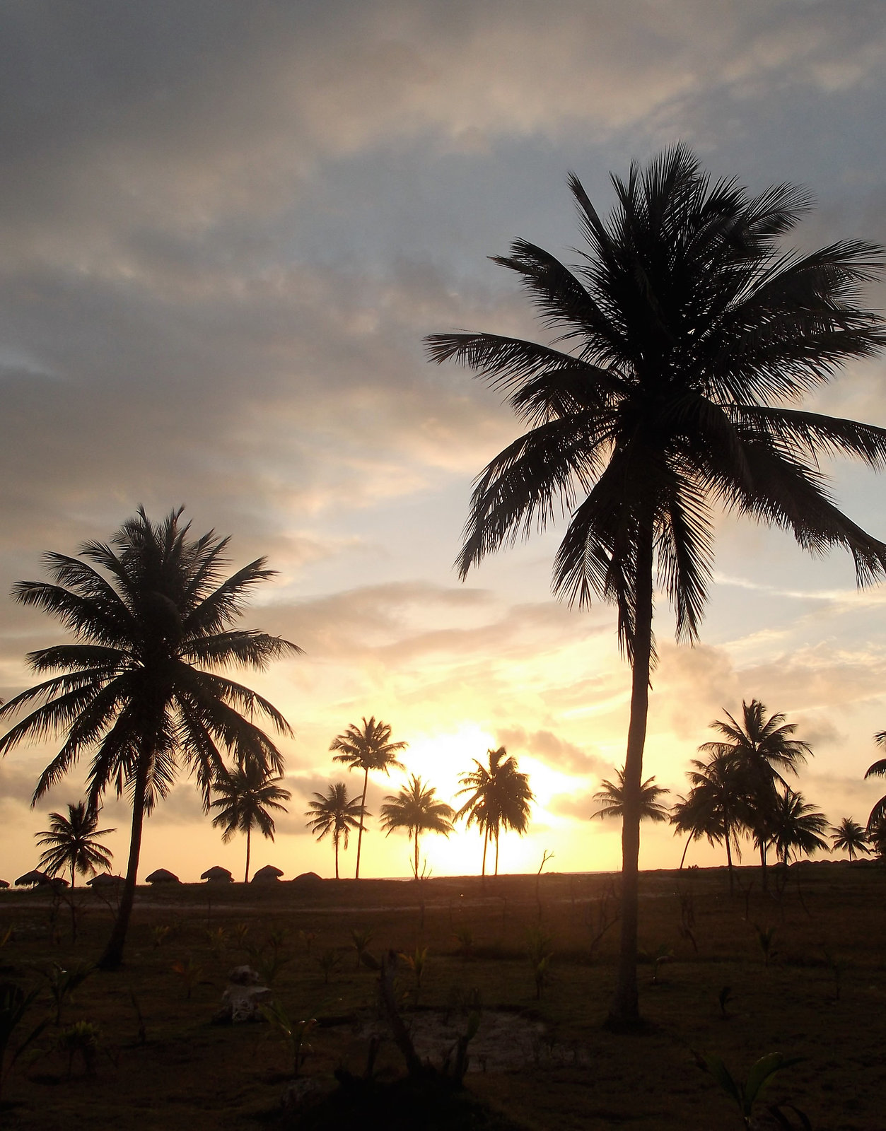 Lever de soleil à saveur cubaine / Cuban flavor sunset