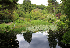 Arduaine Garden