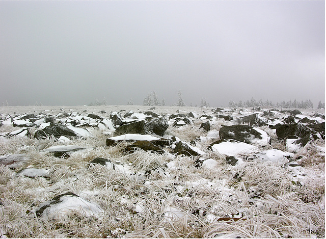 Brocken-Plateau