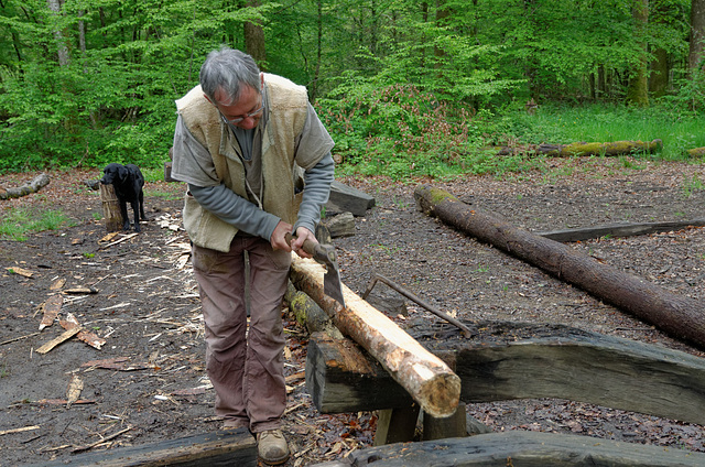 Le bûcheron et son chien