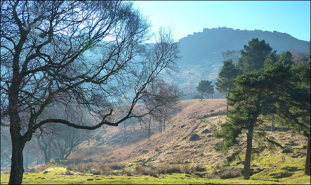 Another from Dovestone.