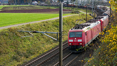 251031 Othmarsingen 11