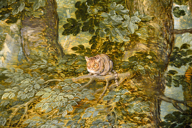 Cat in Paradise Cat in Paradise