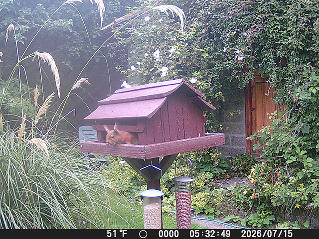 oaw[rsq] - visit A : 15 July 2026 { 14 of 15 }