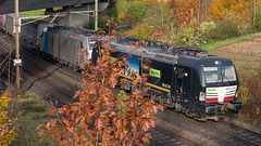 251031 Othmarsingen 33