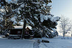 Winter im Zürcher Unterland (© Buelipix)