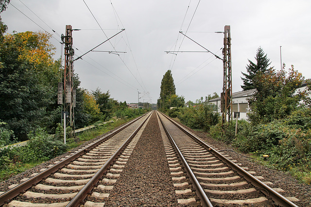 Hamm-Osterfelder Bahn (Recklinghausen) / 3.10.2017