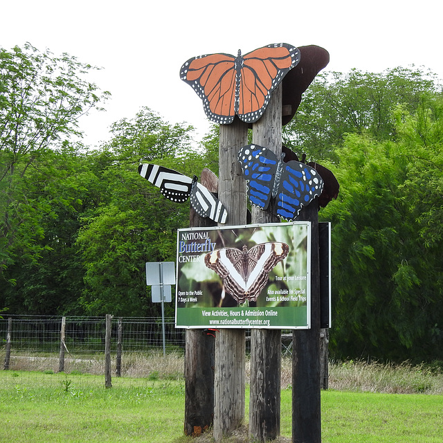 Day 6, National Butterfly Centre, South Texas