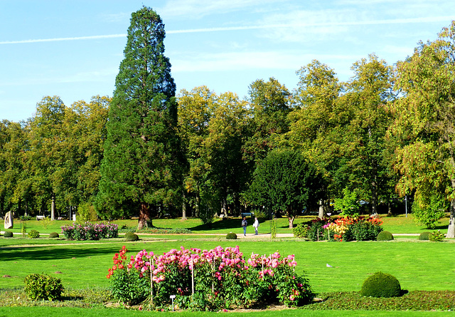 DE - Bad Neuenahr-Ahrweiler - Dahliengarten