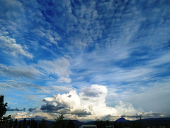 Nubes de la tarde, 9