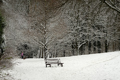 HBM ~ Lone Bench