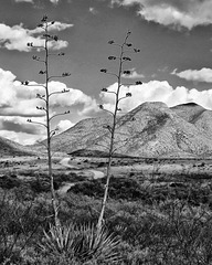 Middlemarch Pass & Black Diamond Peak