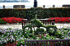 Promenade Gardens, Douglas. Find a bench!