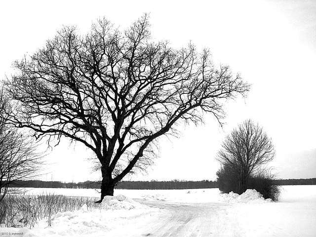 Winterlandschaft