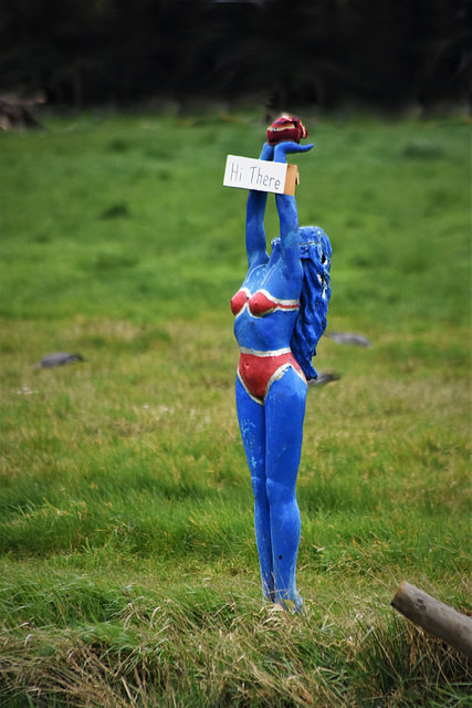 Blue Lady Blue Lady