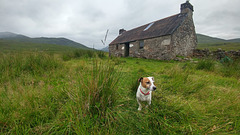 Digger at Meanach Bothy Digger at Meanach Bothy
