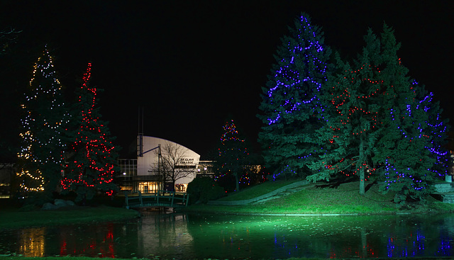 SCC pond Dec2014