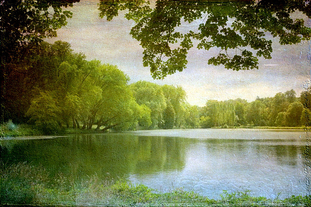 L'étang du Parc J.J. Rousseau à Ermenonville