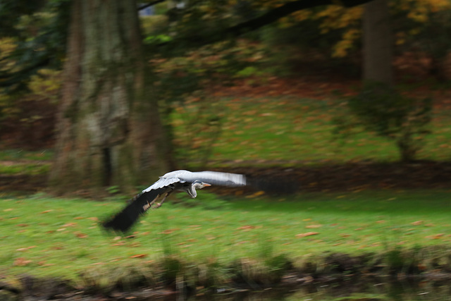 fliegen ohne Flugscham