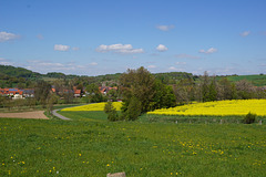 Herrliches Wanderwetter IV
