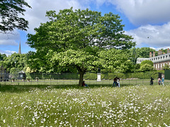 HFF Kensington Gardens London 30th May 2025