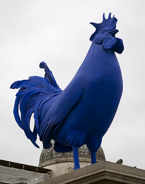 Giant Cockeral Sculpture