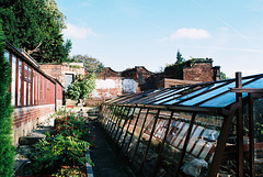 Walled Garden, Ringwood Hall, Brimington, Derbyshire