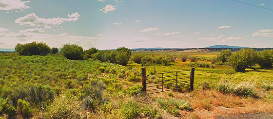 Out in sagebrush country