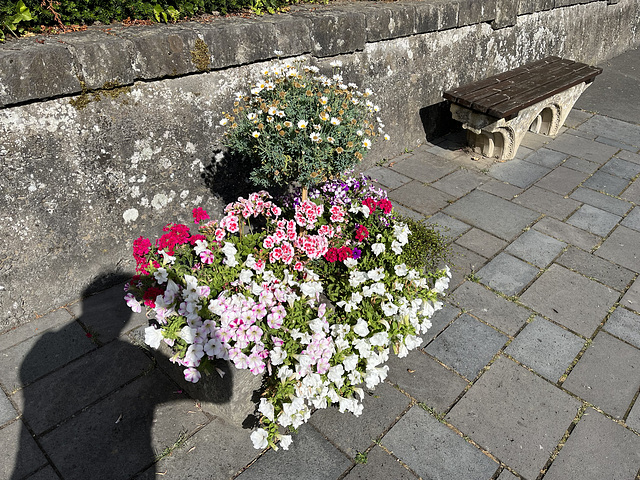 Eine Bank in Maria Laach