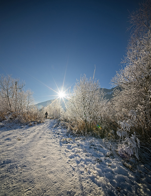 Für solche schönen Momente geht man gerne in die Natur :)) For such beautiful moments you like to go into nature :)) Pour de si beaux moments vous aimez aller dans la nature :))