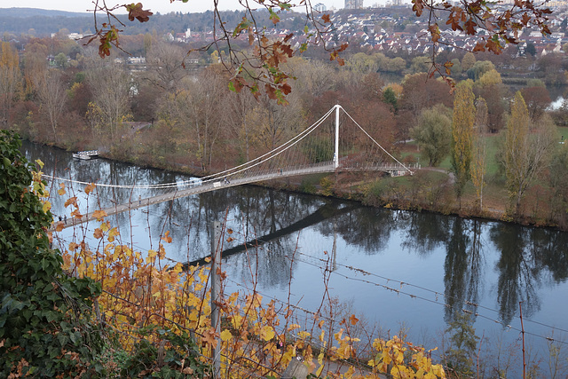 Herbst am Neckar