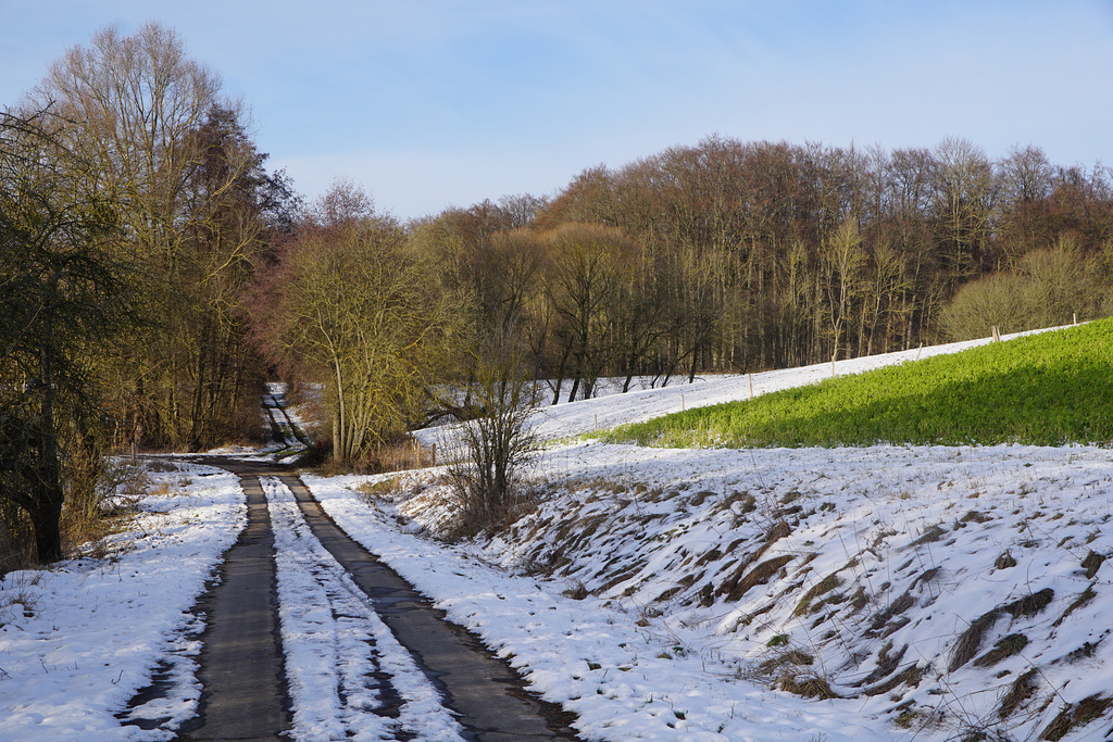 Spaziergang mit Sonnenschein