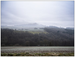 Nordpfälzer Bergland im Nebel