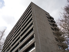 Eindhoven - Elzentlaan