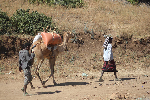 Along the Road, North of Addis Ababa