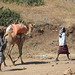 Along the Road, North of Addis Ababa