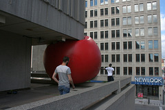 15/50 redball project day 2