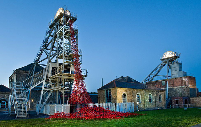 in mem -  poppies at woodhorn [2 of 2]