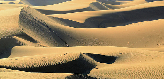 The Dunes of Maspalomas