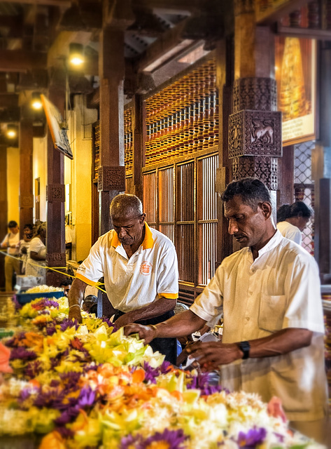 Sri Lanka´s tour - the fourth day - Sri Dalada Maligawa or the Temple of the Sacred Tooth Relic (deutsch: Zahntempel, singhalesisch: ශ්‍රී දළදා මාළිගාව) is a Buddhist temple in the city of Kandy, Sri 