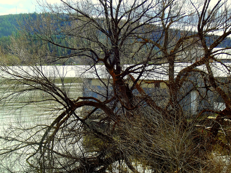 Boathouses