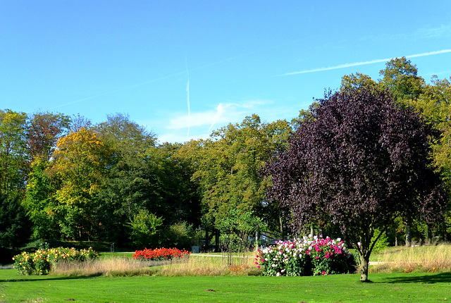 DE - Bad Neuenahr-Ahrweiler - Dahliengarten