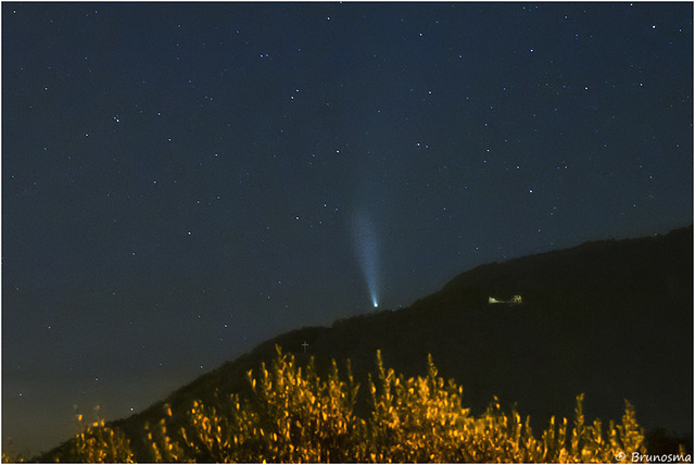 Cometa Neowise, dal cortile di casa mia.