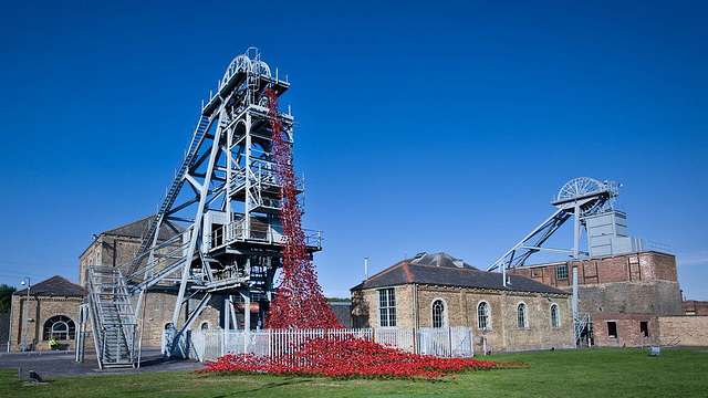 in mem -  poppies at woodhorn [1 of 2]