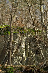 Vulkaneifel - Laacher See