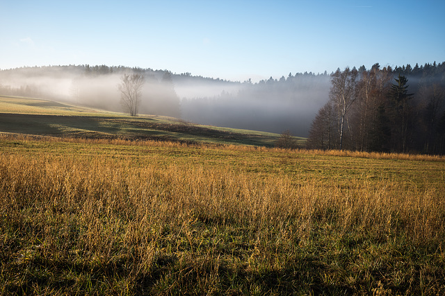 Nebel